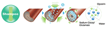 Fierli Shampoo Diagram