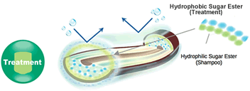 Fierli Treatment Diagram